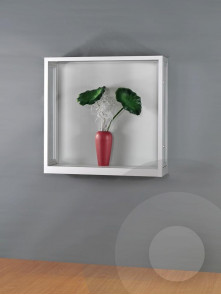 Dust proof wall mounted display cabinet 