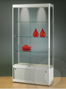 Display cabinet with ceiling lights and storage cupboard