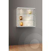Wall mounted cabinet with ceiling and LED shelf lights 